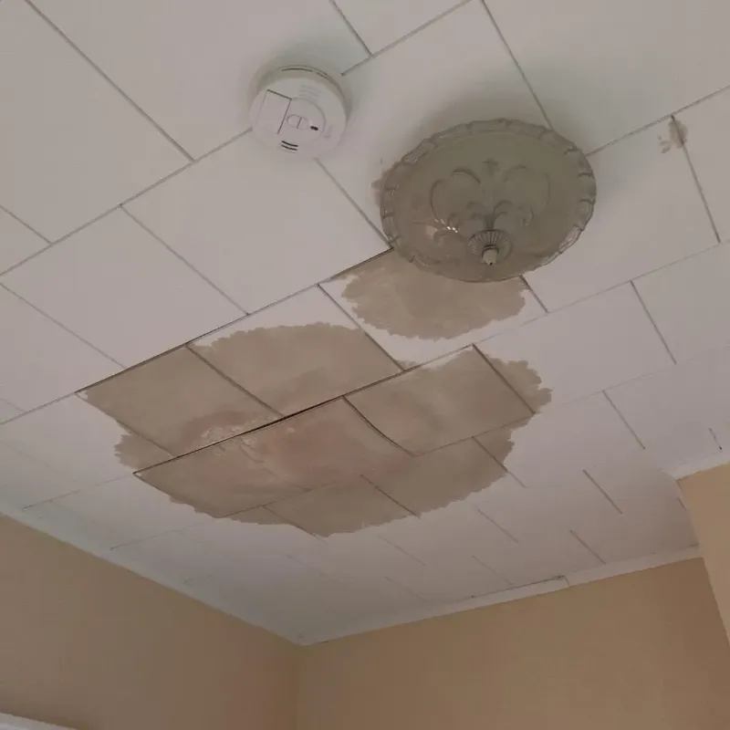 Ceiling Water Damage Repair in Le Claire, IA