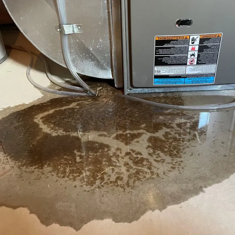 Pipe Burst and Leak Restoration in Le Claire, IA
